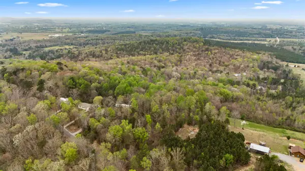 0 Pleasant View Rd, Falkville, AL 35622