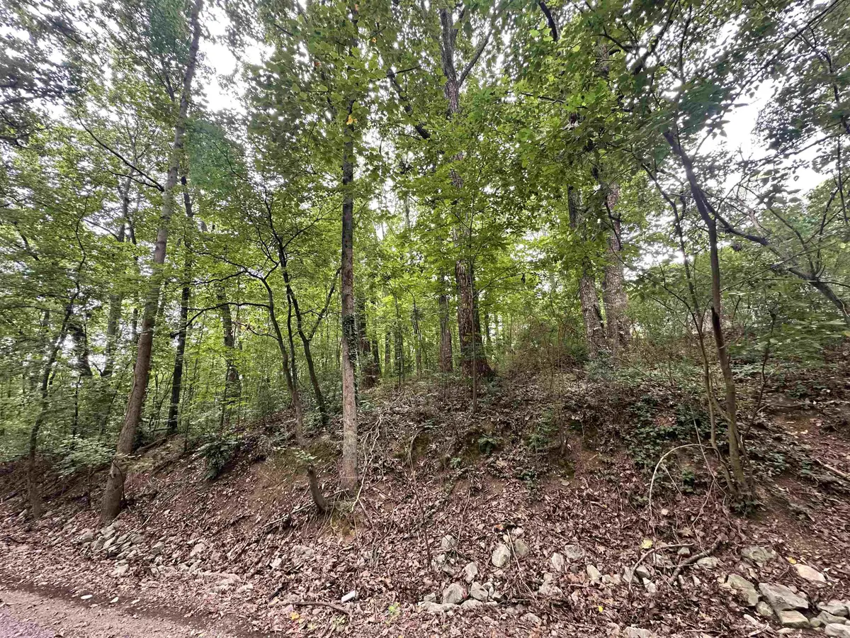 LOT 24 Oakhill Dr, Cullman, AL 35055 - #1