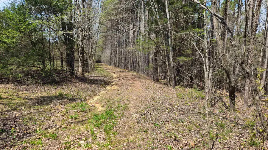 0 Co Rd 621, Lexington, AL 35648 - #2