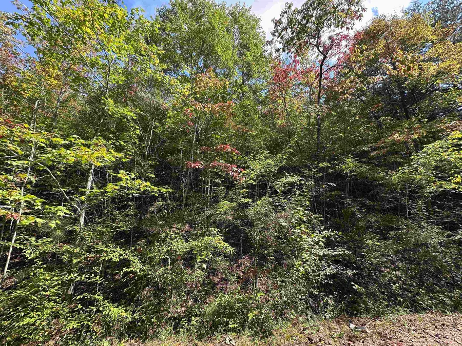 0 Co Rd 3034, Double Springs, AL 35553 - #2