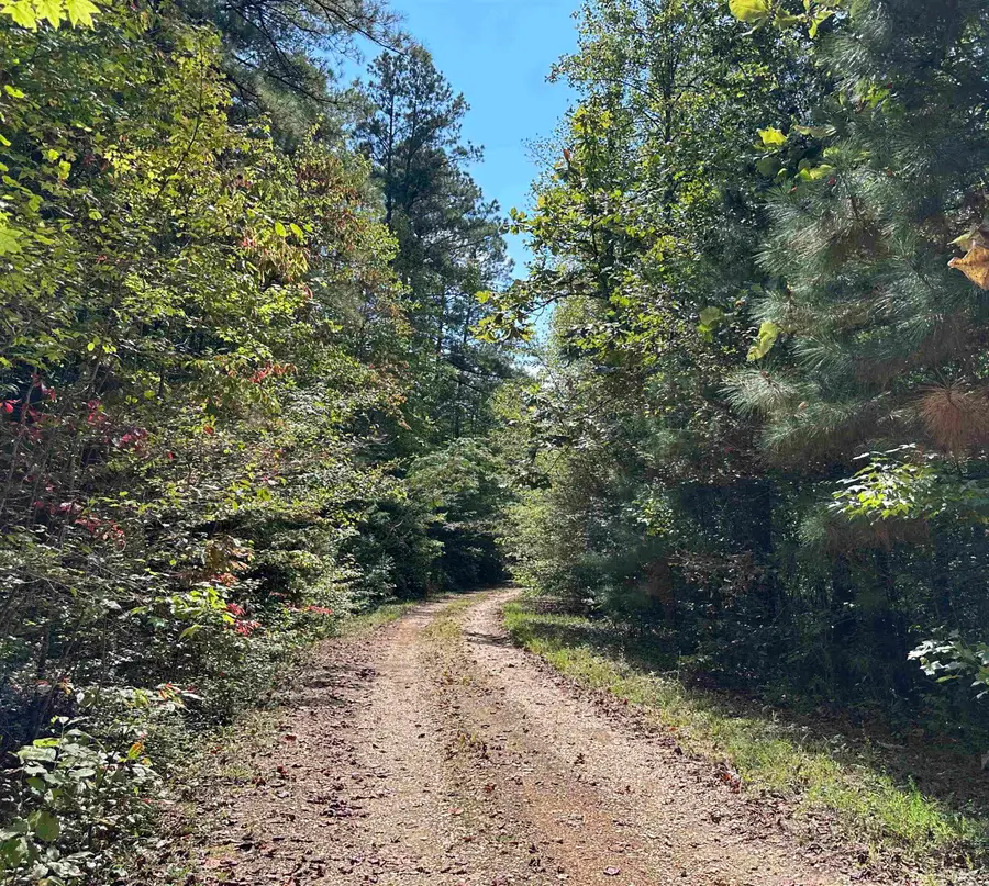 0 Co Rd 3034, Double Springs, AL 35553 - #3