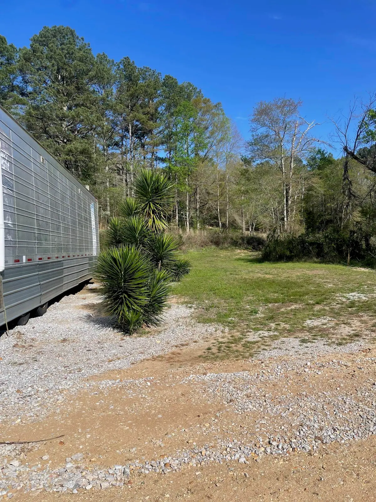 0 Blue Creek Rd, Vina, AL 35593 - #1