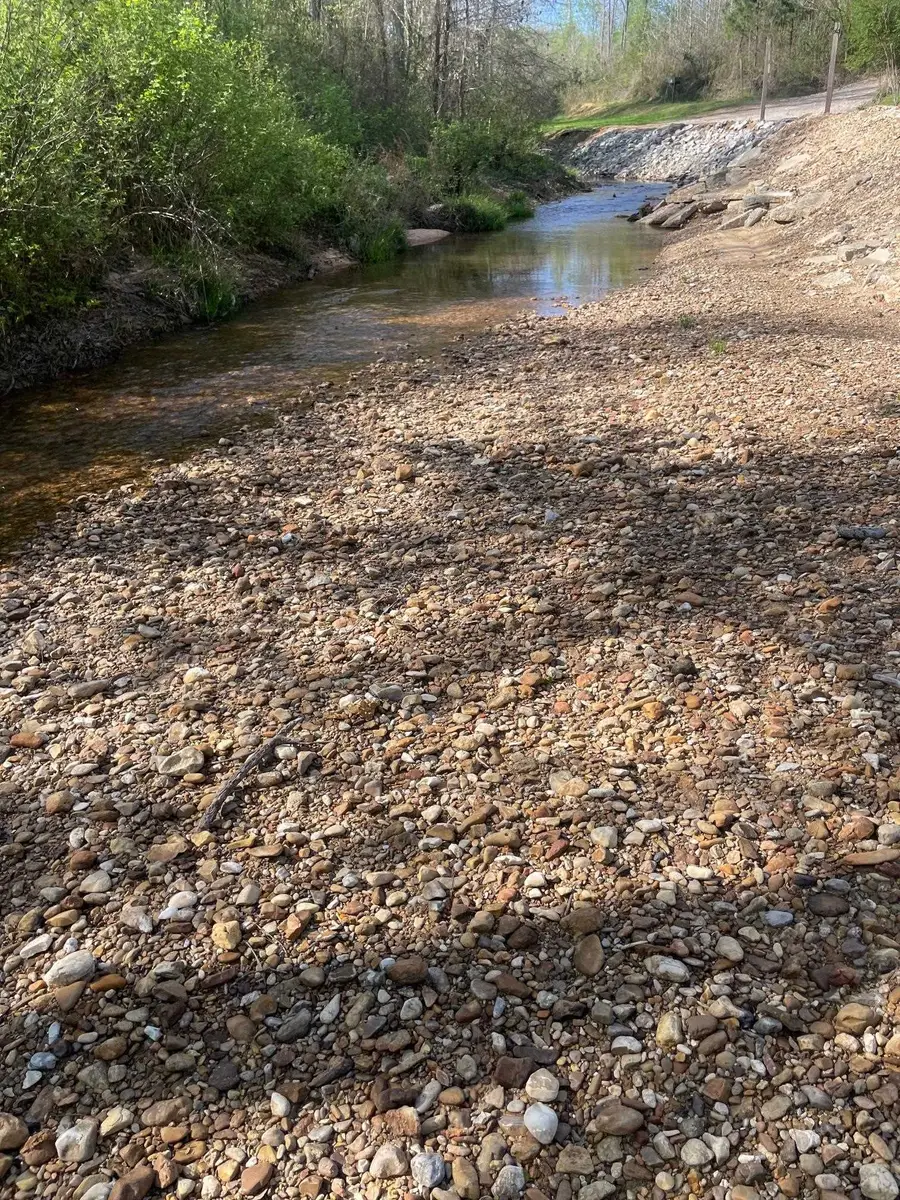 0 Blue Creek Rd, Vina, AL 35593 - #2