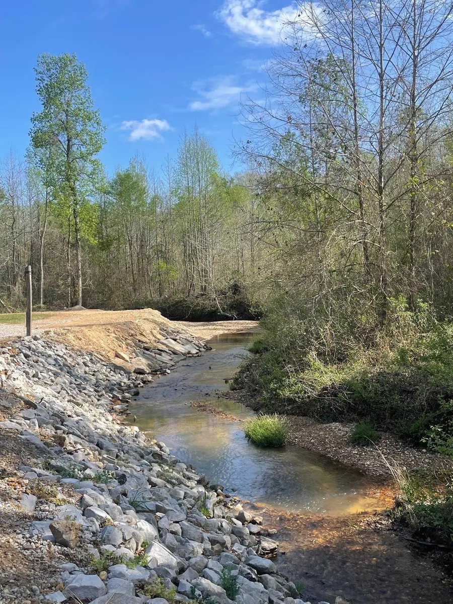 0 Blue Creek Rd, Vina, AL 35593 - #3