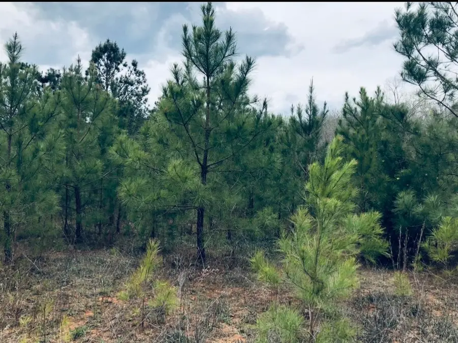 0 Co Rd 371, Crane Hill, AL 35053 - #2