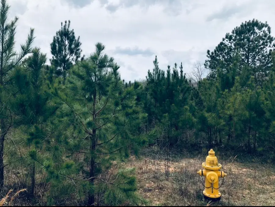 0 Co Rd 371, Crane Hill, AL 35053 - #3