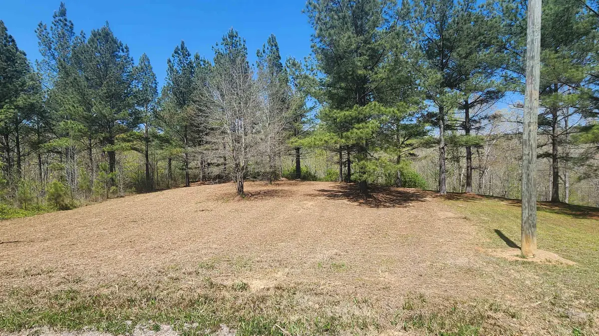 0 Co Rd 373, Crane Hill, AL 35053 - #1