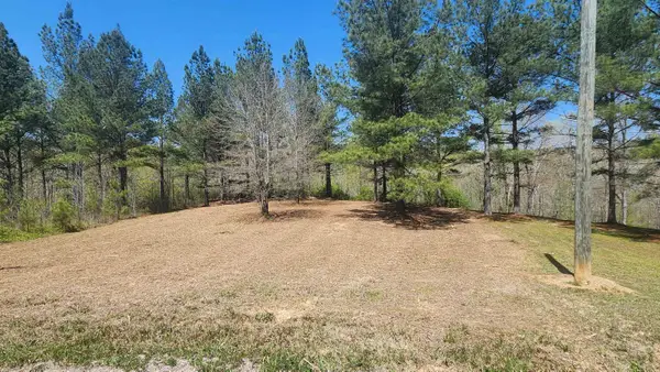 0 Co Rd 373, Crane Hill, AL 35053