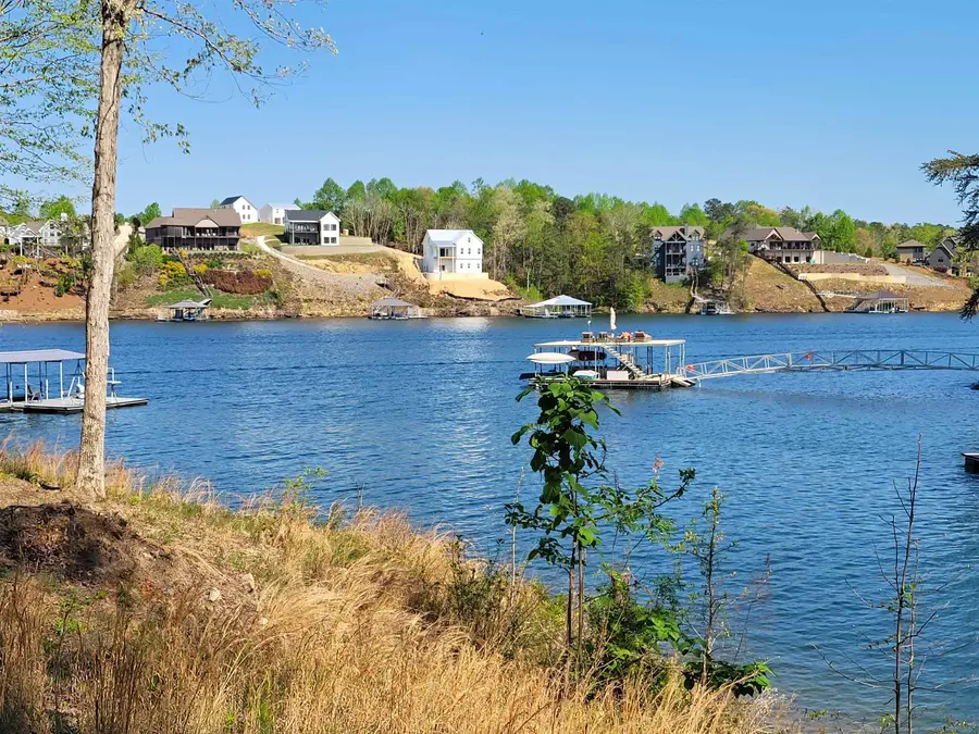 196 Co Rd 168, Crane Hill, AL 35053 - #2