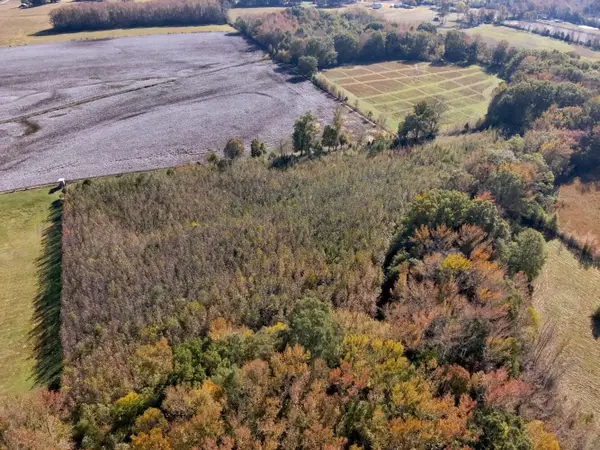 000 Co Rd 67, Lexington, AL 35648