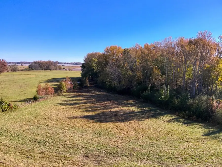 000 Co Rd 67, Lexington, AL 35648 - #2