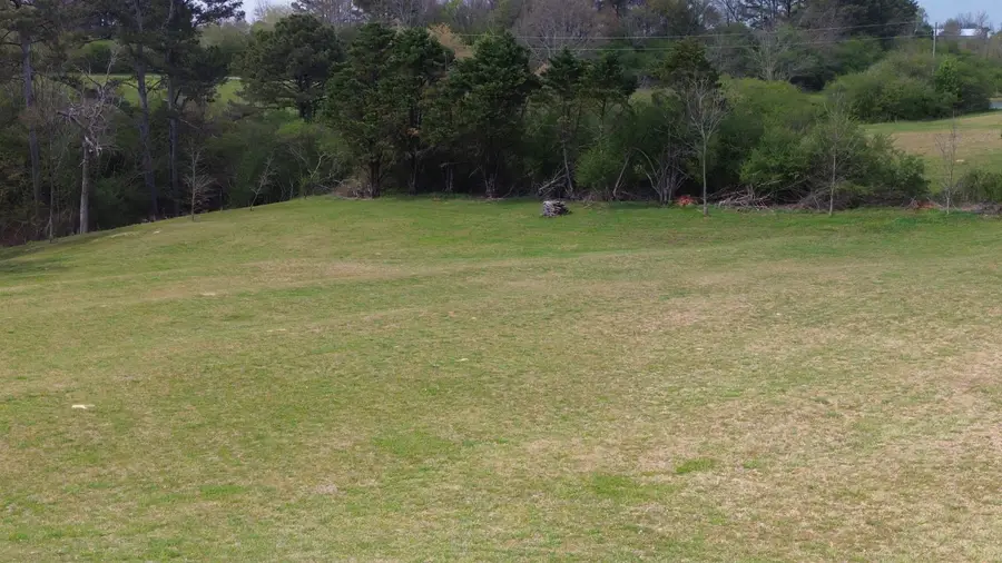 LOT 2 Co Rd 943, Cullman, AL 35057 - #2