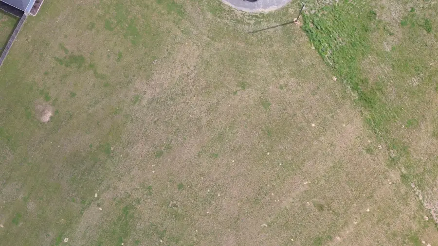 LOT 2 Co Rd 943, Cullman, AL 35057 - #3