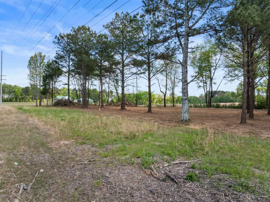 7415 Hwy 64, Lexington, AL 35648 - #2