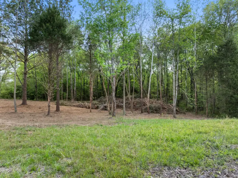 7415 Hwy 64, Lexington, AL 35648 - #3
