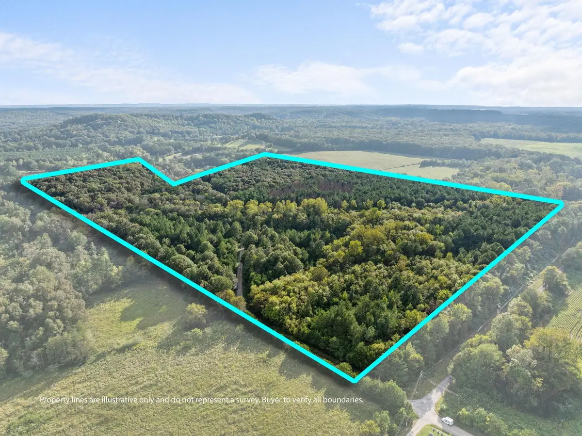 0 Co Rd 141, Town Creek, AL 35672 - #1