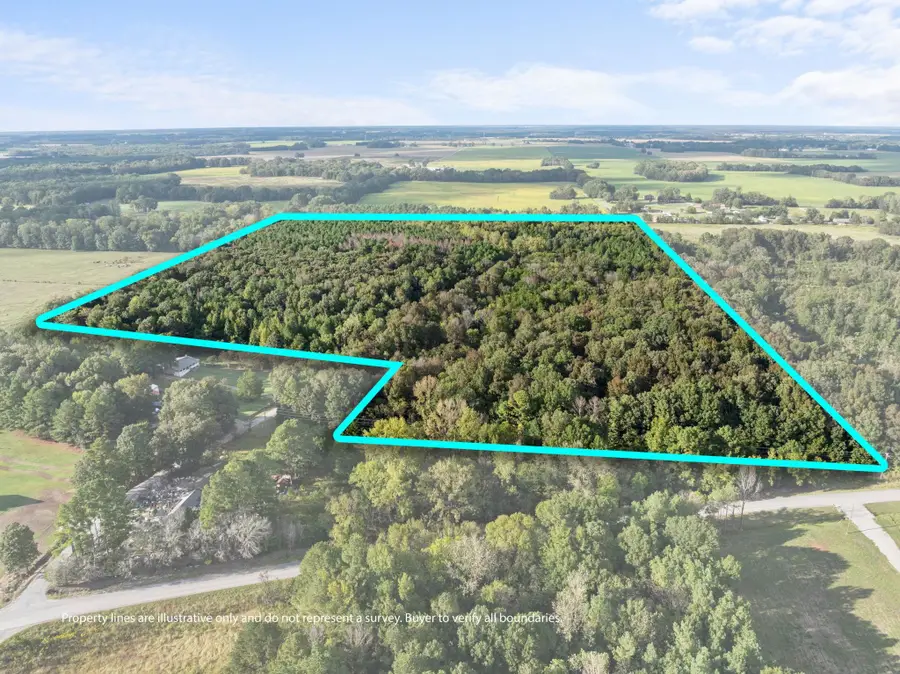 0 Co Rd 141, Town Creek, AL 35672 - #3