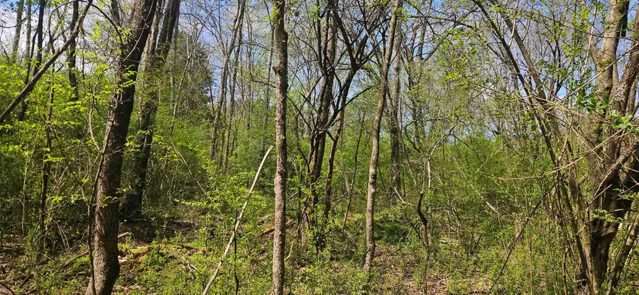 000 Co Rd 27, Florence, AL 35634 - #3