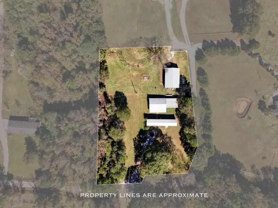 116 Long Dr, Danville, AL 35619 - #3