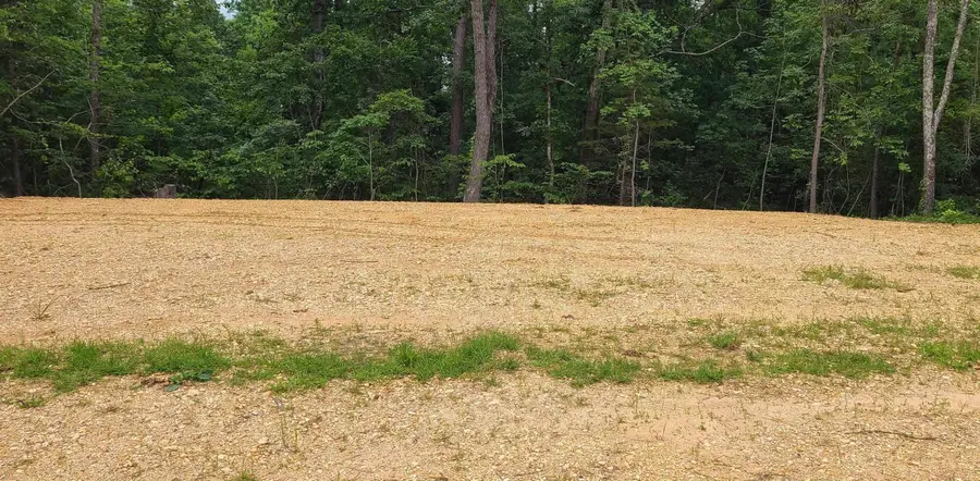 464 Redwood Ave, Hamilton, AL 35570 - #2