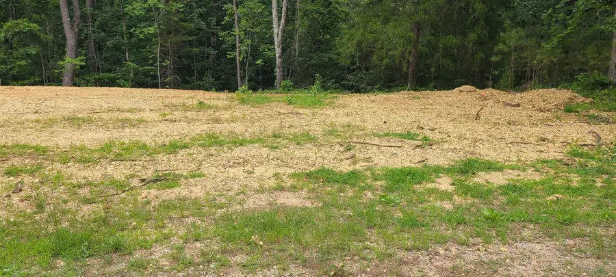 464 Redwood Ave, Hamilton, AL 35570 - #3