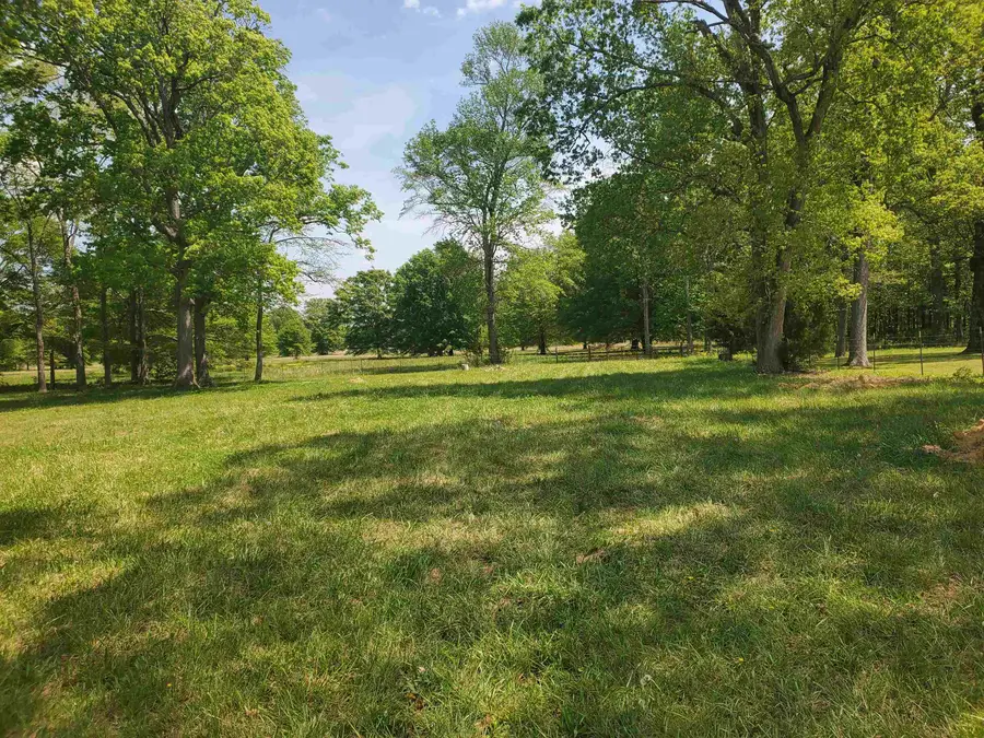 2544 Hwy 207, Rogersville, AL 35652 - #3