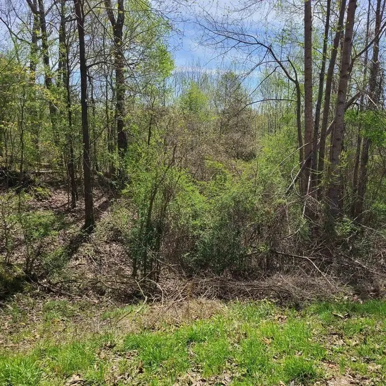 00 Wintergreen Dr, Hamilton, AL 35570 - #1