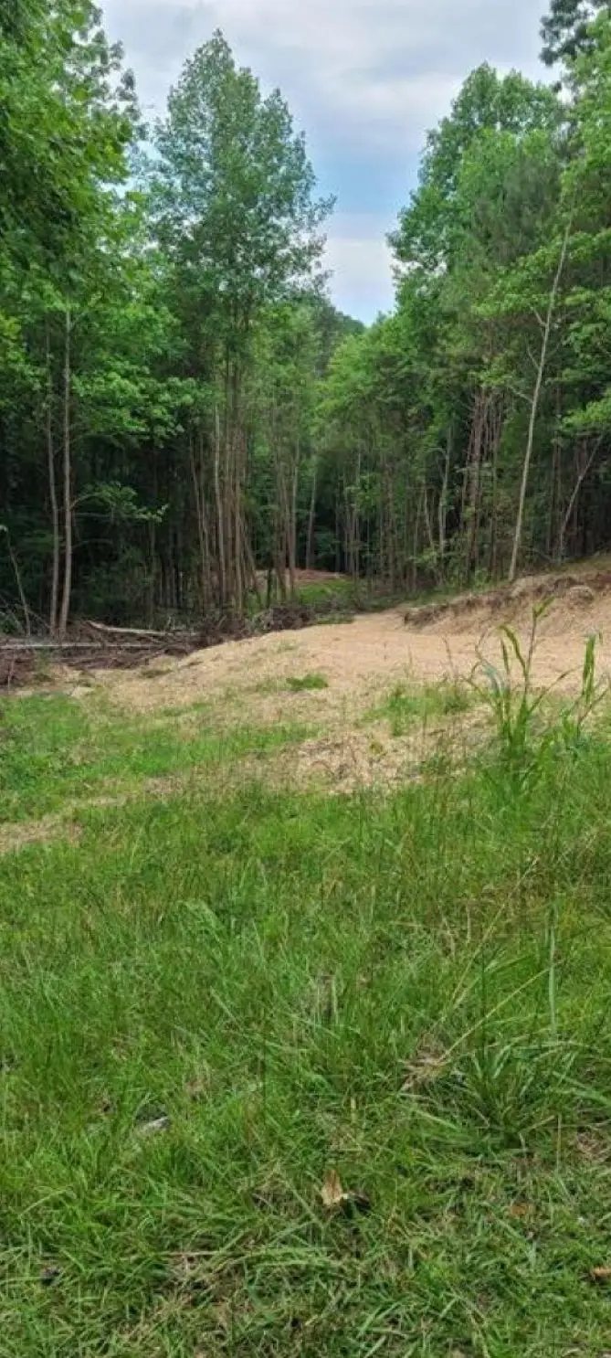 00 Wintergreen Dr, Hamilton, AL 35570 - #2