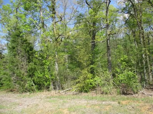 0 Hwy 17, Florence, AL 35630