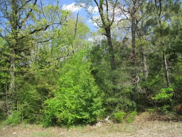0 Hwy 17, Florence, AL 35630 - #2