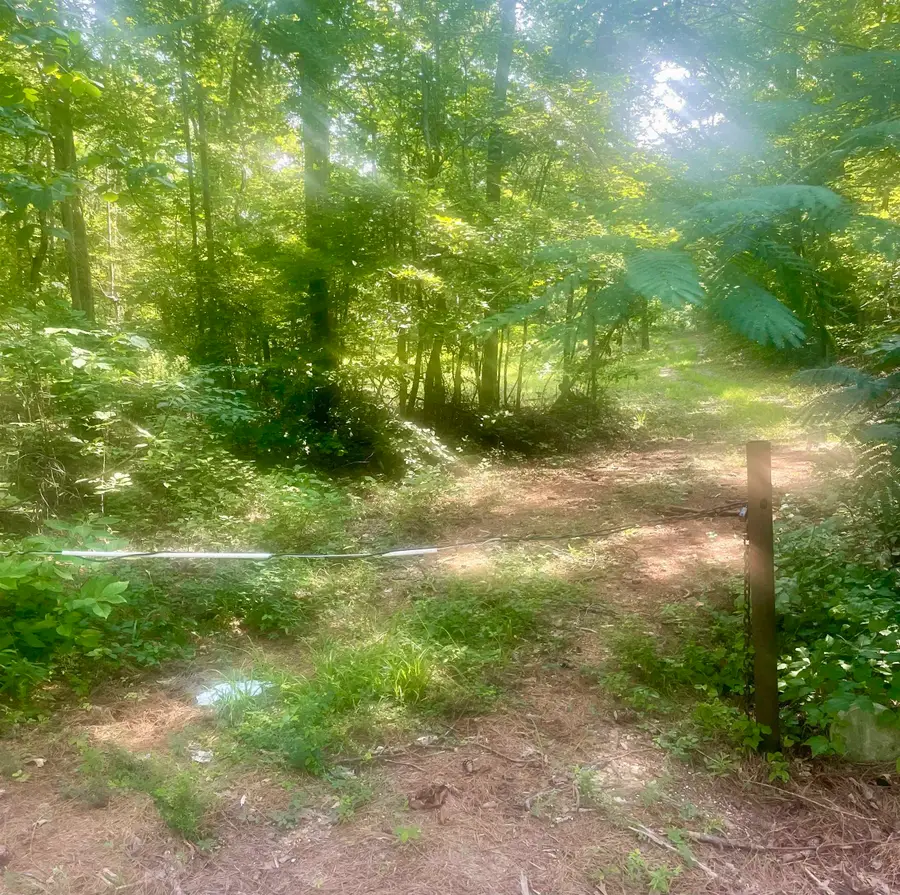 11810 Co Rd 9, West Blocton, AL 35184 - #3