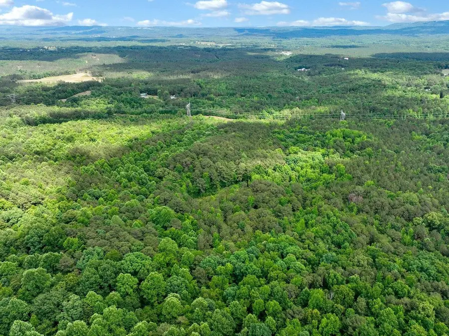 TBD Co Rd 30, Bremen, AL 35033 - #3