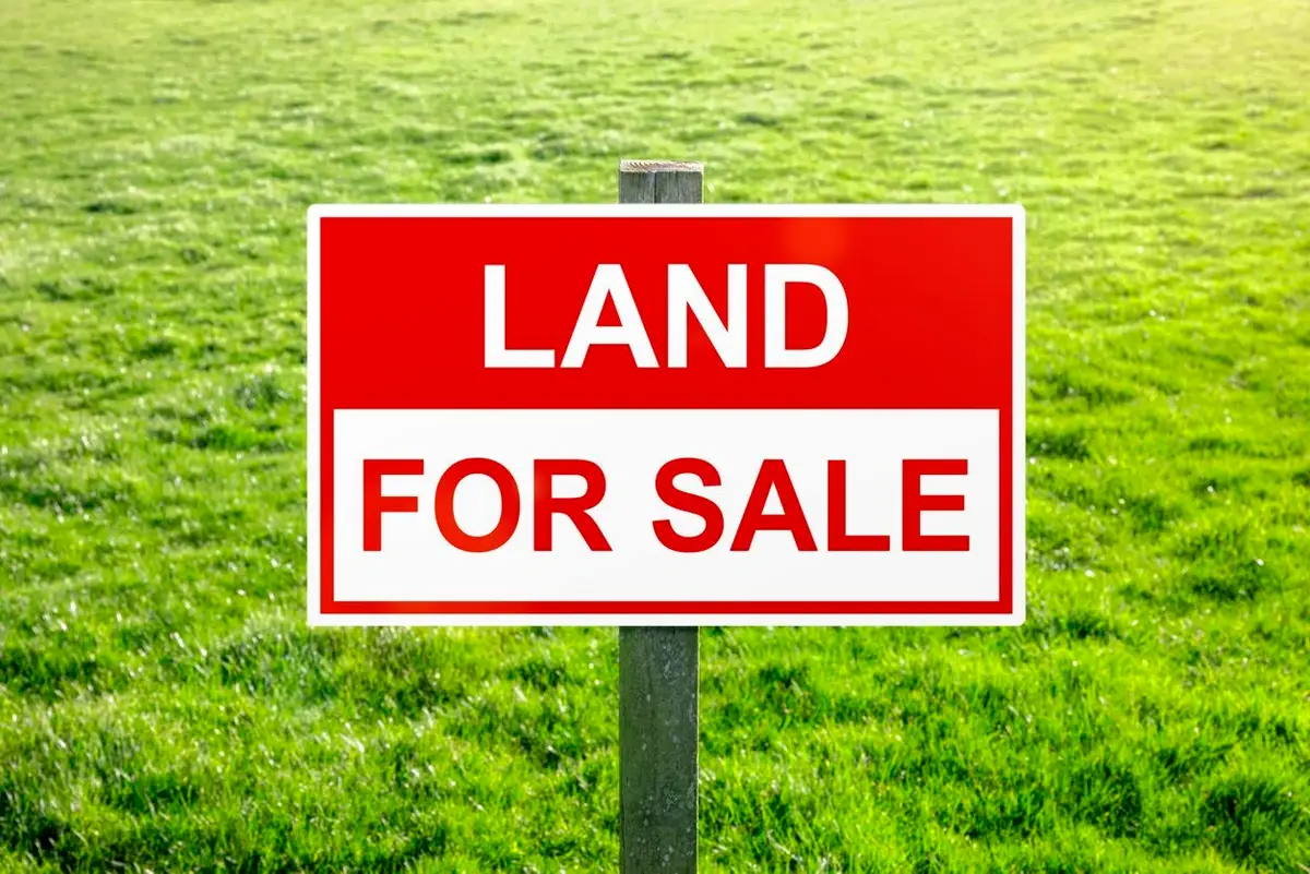 0 Hwy 16, Vina, AL 35593 - #1