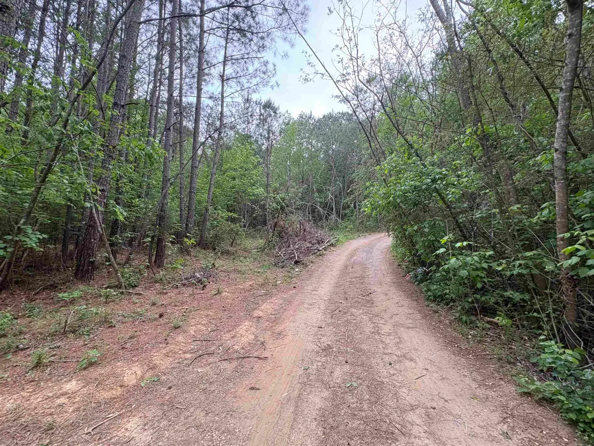 Lot 1 Wilhite Rd, Falkville, AL 35622 - #1