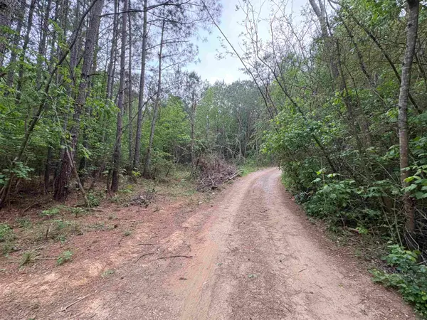 Lot 1 Wilhite Rd, Falkville, AL 35622