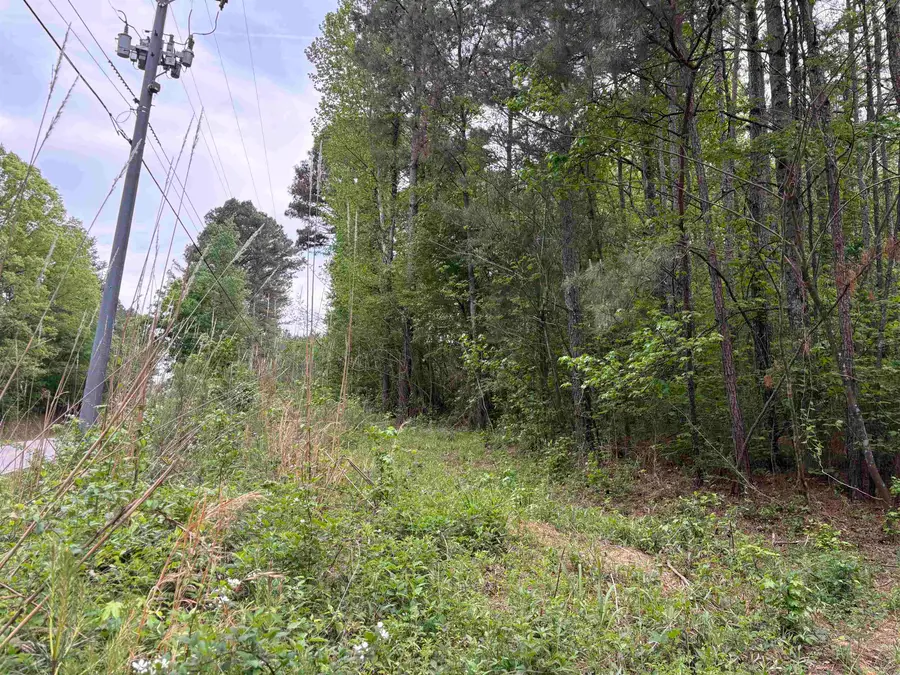 Lot 1 Wilhite Rd, Falkville, AL 35622 - #2