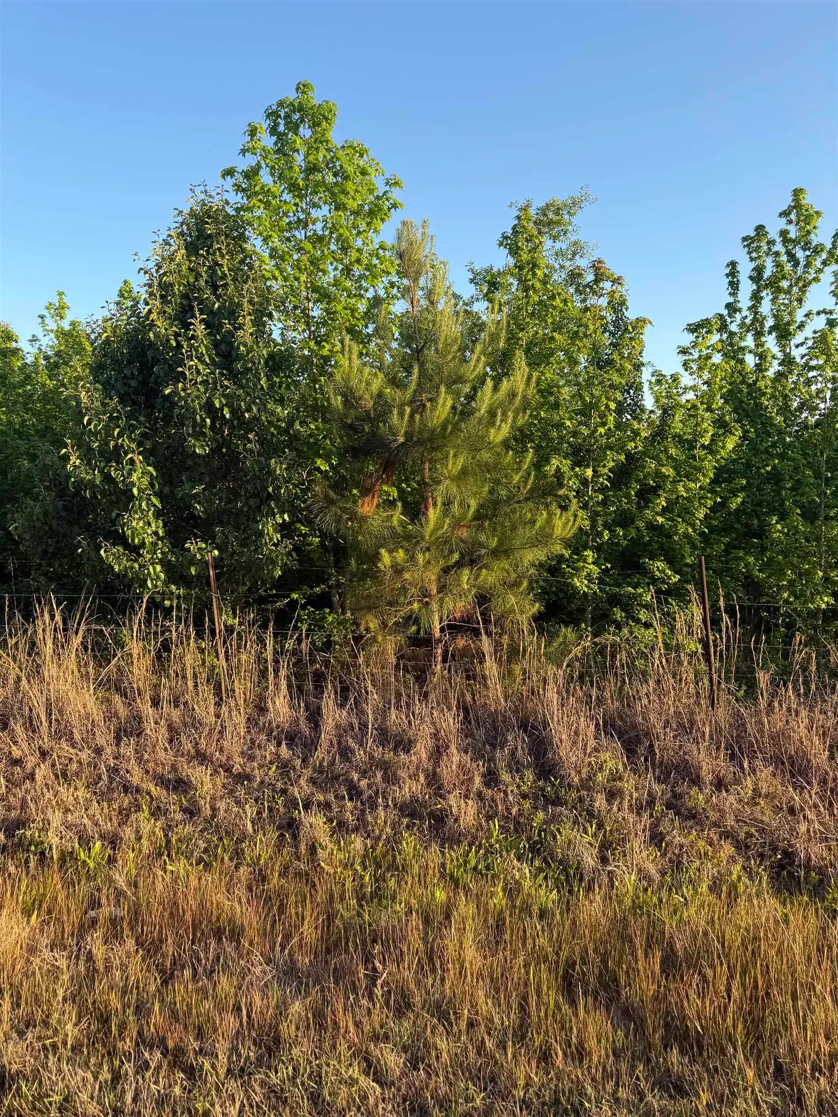 00 Co Rd 106, Florence, AL 35631 - #1
