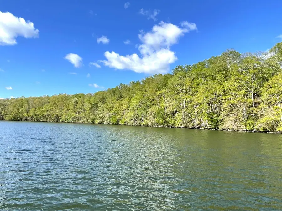 1440 Lingerlost Rd, Killen, AL 35645 - #3