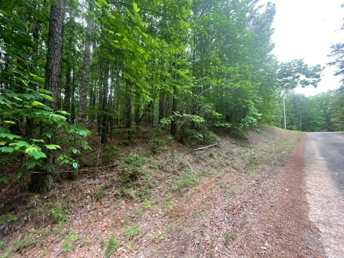 00 Bluff Way, Jasper, AL 35503 - #1