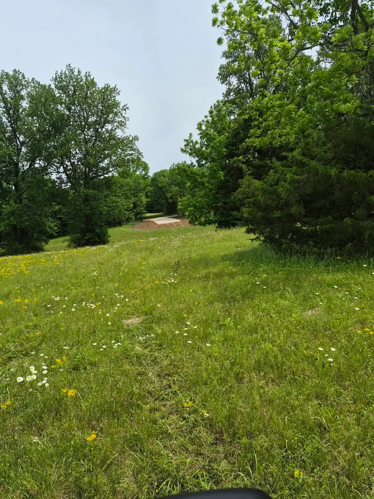 0 Co Rd 125, Rogersville, AL 35652 - #1
