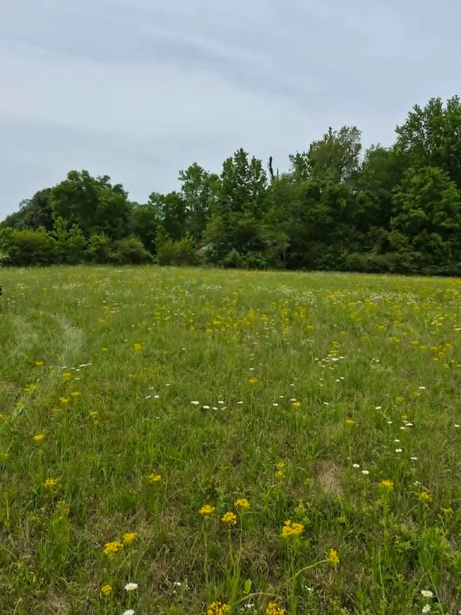 0 Co Rd 125, Rogersville, AL 35652 - #2