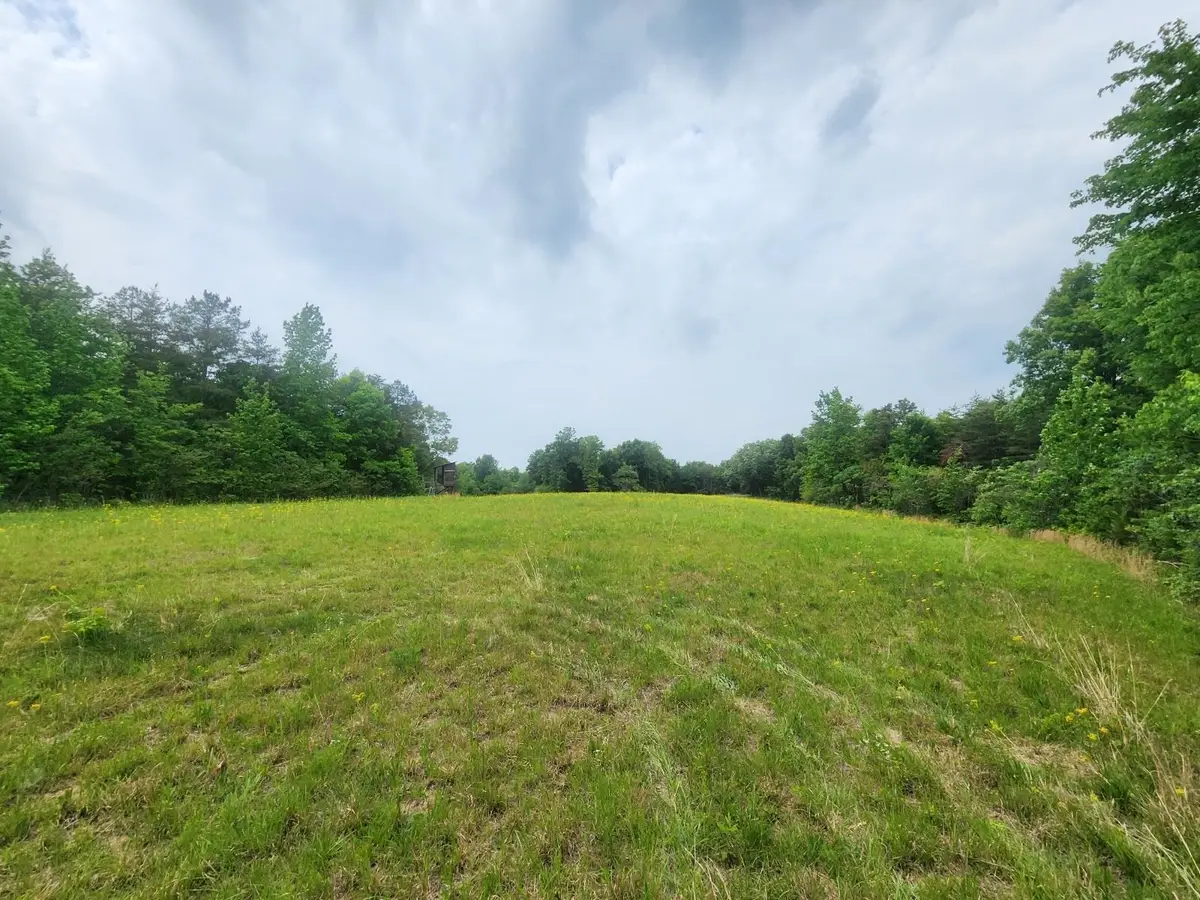 6295 Co Rd #8, Waterloo, AL 35633 - #1