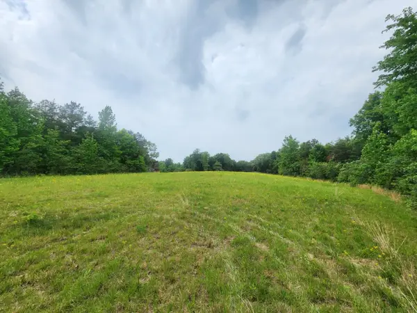 6295 Co Rd #8, Waterloo, AL 35633