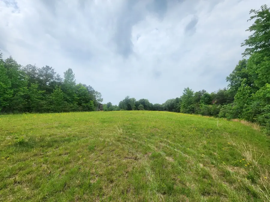 6295 Co Rd #8, Waterloo, AL 35633 - #2