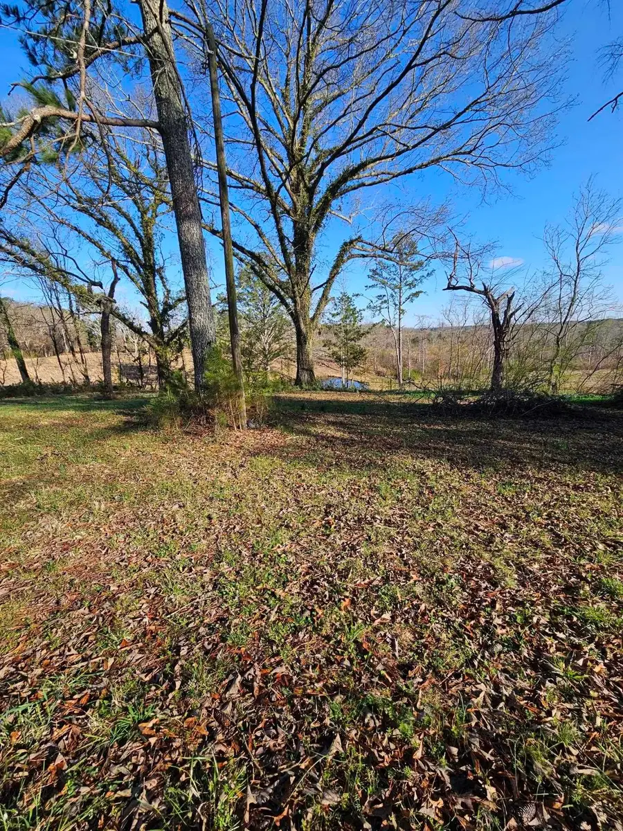 3051 Co Rd 52, Spruce Pine, AL 35585 - #2