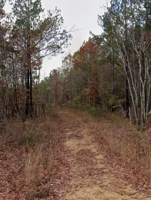 104 Fuller, Phil Campbell, AL 35581
