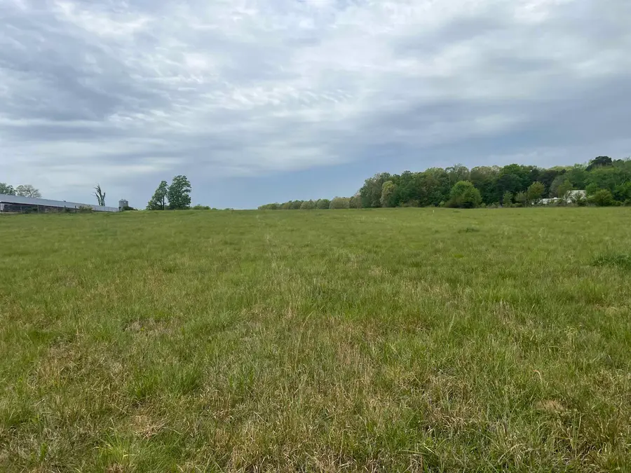 004 Co Rd 155, Anderson, AL 35610 - #2