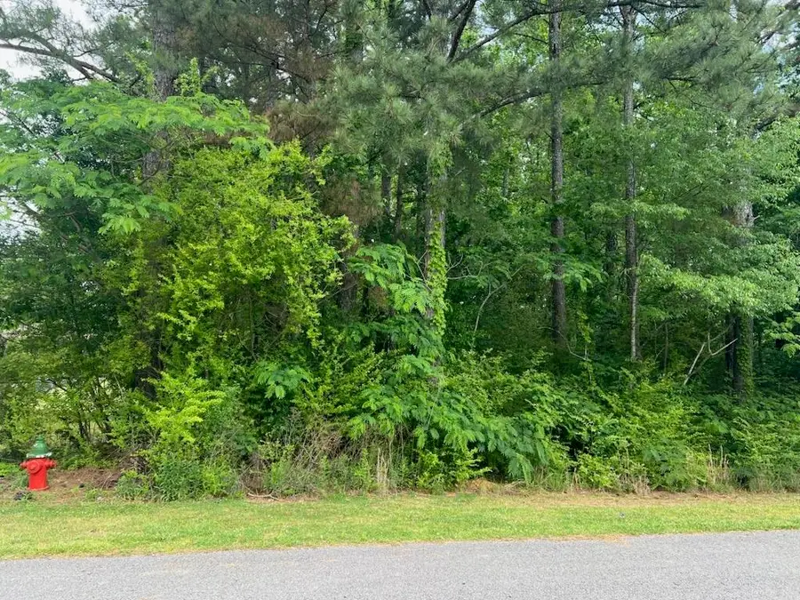 Lot 52 Clarendon Rd, Cullman, AL 35057 - #2