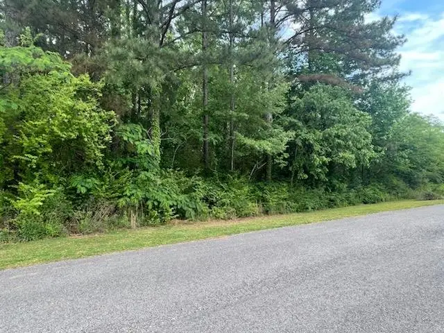 Lot 52 Clarendon Rd, Cullman, AL 35057 - #3