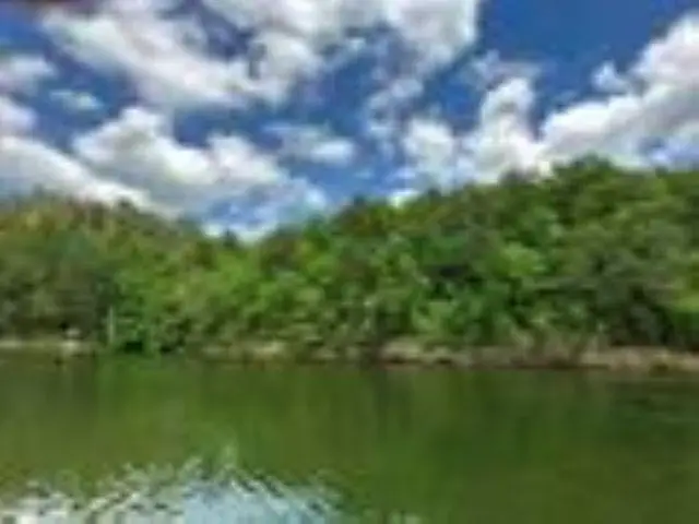 0 Co Rd 278, Cullman, AL 35057 - #2
